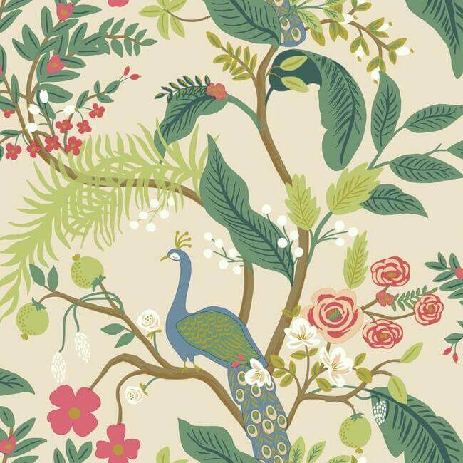 Peacock Black Wallpaper | York Wallcoverings