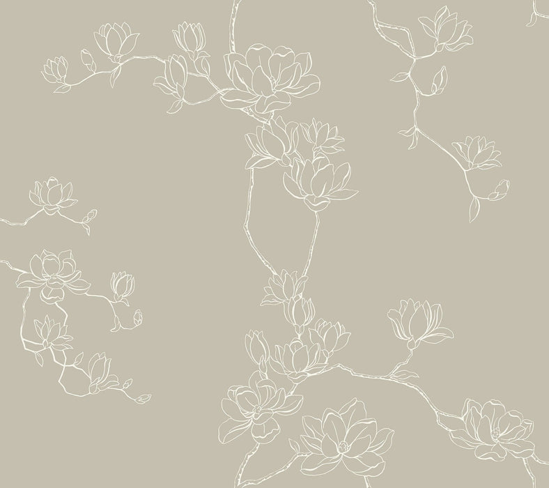 Magnolia Beige Branches Wallpaper | York Wallcoverings