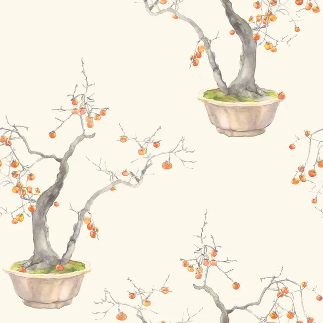 Kaki Persimmon Wallpaper - Bergamot | Cole & Son