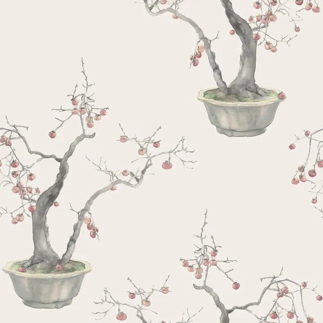 Kaki Persimmon Wallpaper - Bergamot | Cole & Son