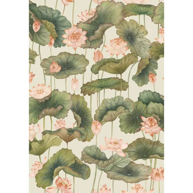 Lily Lotus Wallpaper - Pink | Cole & Son