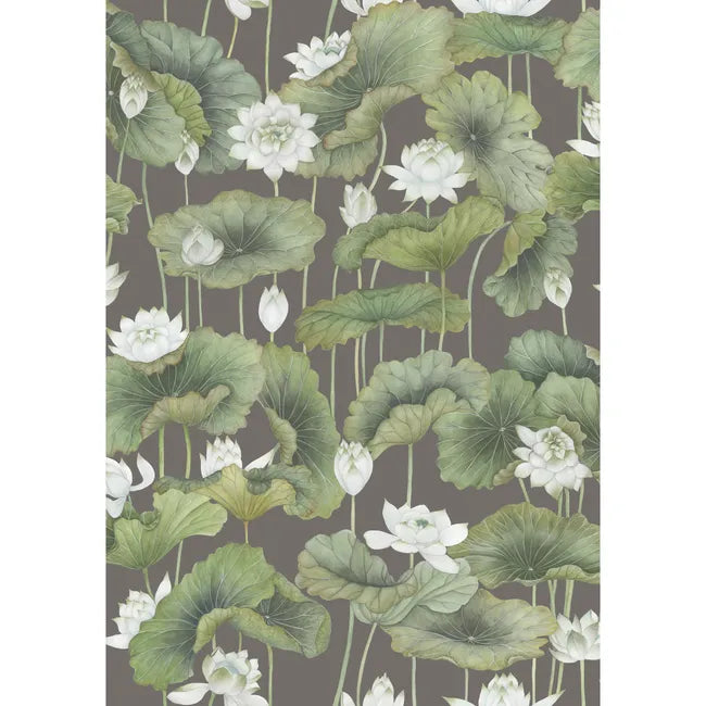 Lily Lotus Wallpaper - Pink | Cole & Son