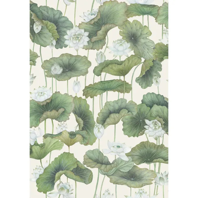 Lily Lotus Wallpaper - Pink | Cole & Son