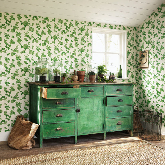 Hedera | Sanderson