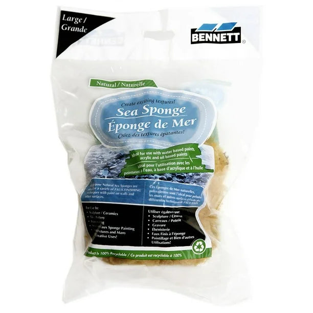Bennett Sea Sponge – 5–6 Inch Large