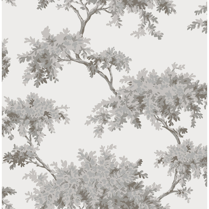 A Street | Ashdown Grey Tree Wallpaper